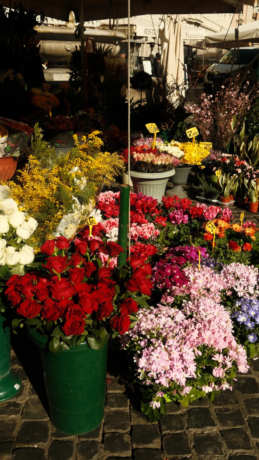 Fleurs